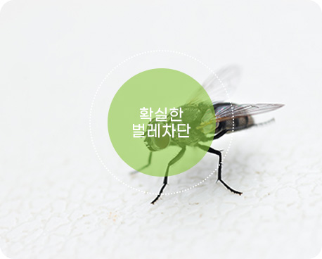 해충 차단 기술 예시